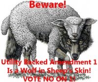 Amendment 1 is a Wolf in Sheep's Skin and There's Proof! Vote No on 1 this November!